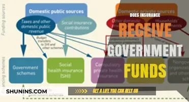 Does Insurance Rely on Government Funding? Uncovering the Financial Truth
