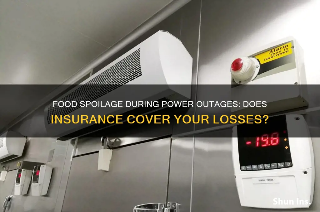 does insurance reimburse you for food spoiled during outage