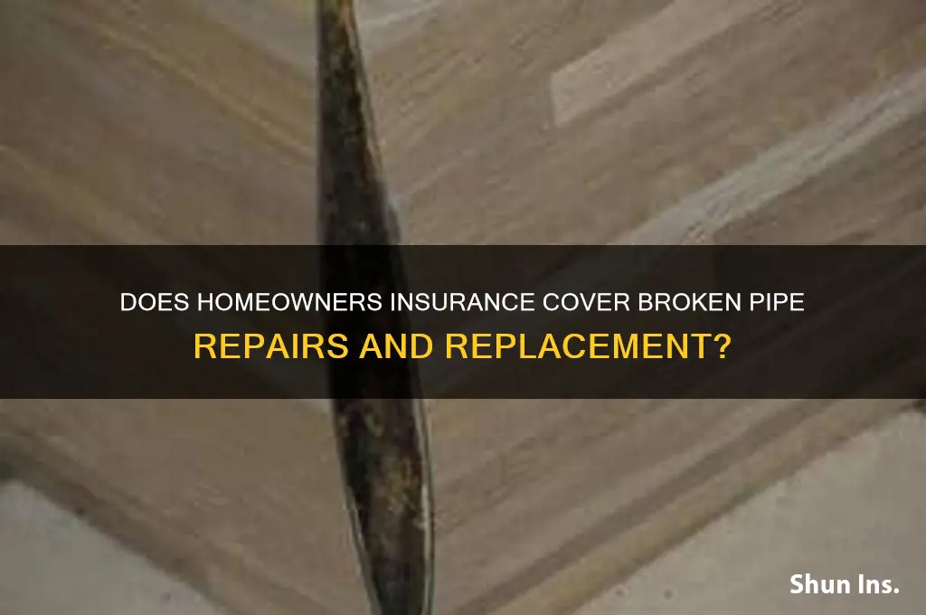 does insurance replace broken pipes
