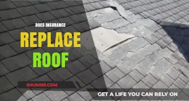 Does Insurance Replace Roof? Understanding Coverage and Claims Process