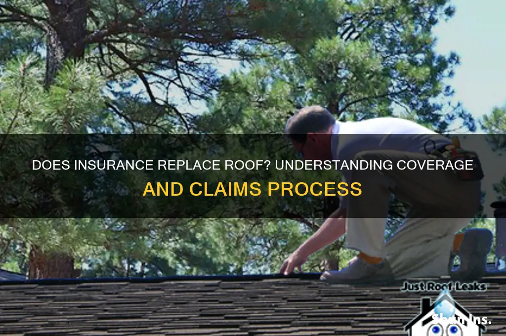 does insurance replace roof