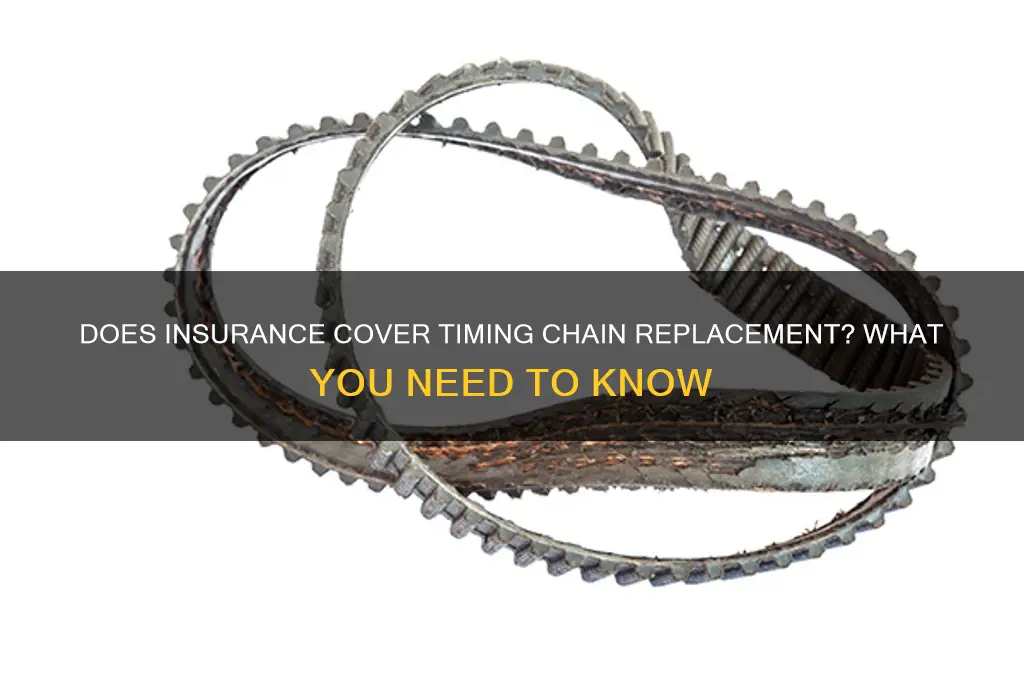 does insurance replace timing chain