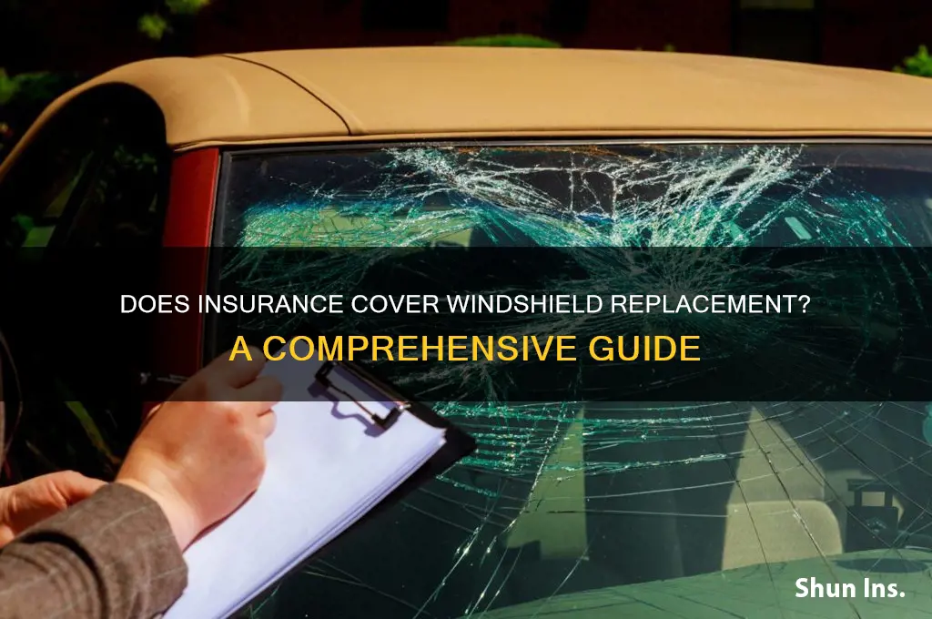 does insurance replace windshield