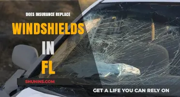 Does Insurance Cover Windshield Replacement in Florida? What You Need to Know