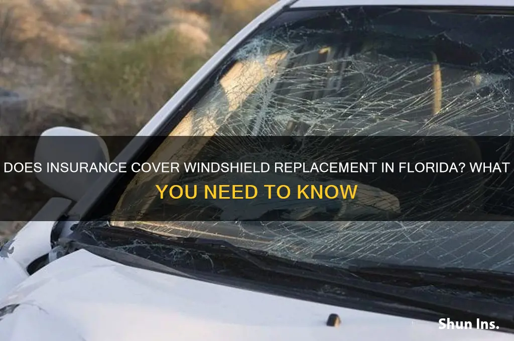 does insurance replace windshields in fl