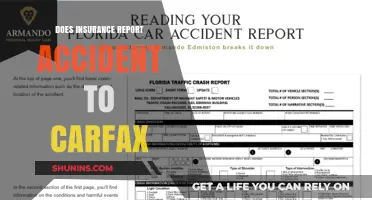 Carfax Reports: What Your Insurance Company Shares