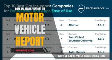 Insurance and Motor Vehicle Reports: What's the Link?