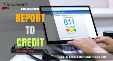 Credit Scores: Insurance Reporting Impact
