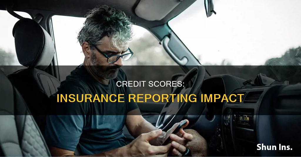 does insurance report to credit