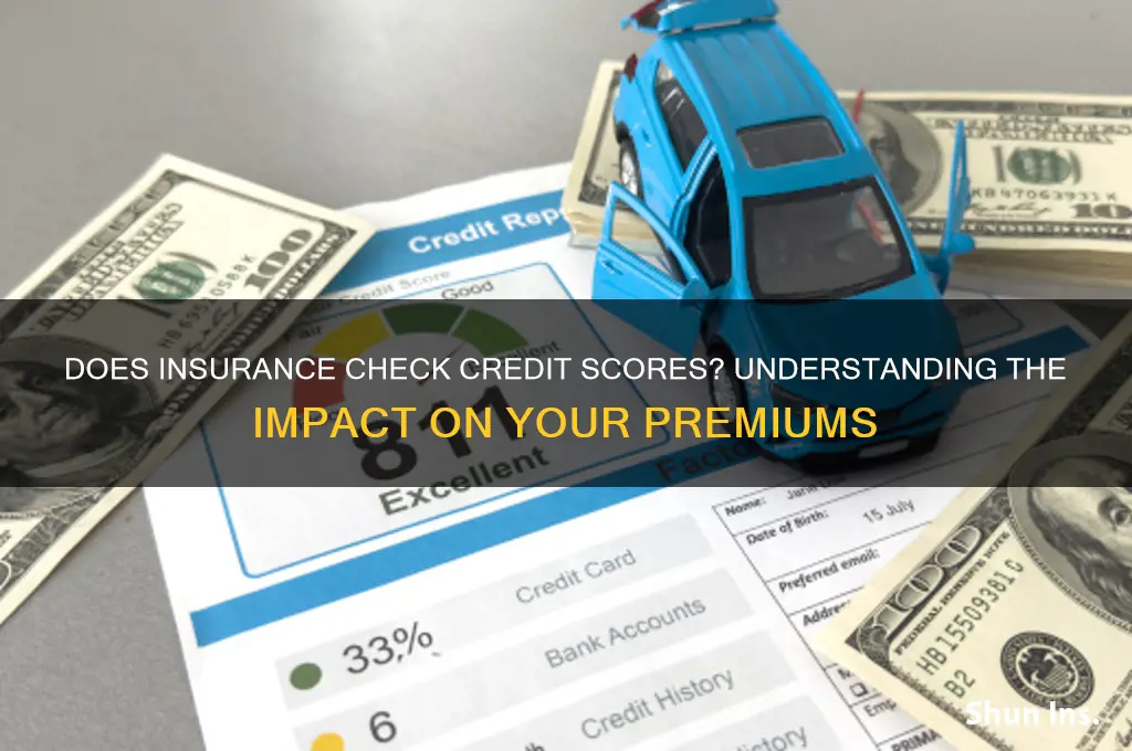 does insurance run your credit
