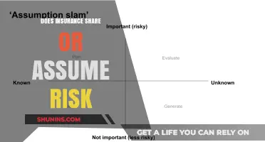 How Insurance Mitigates Risk and Offers Peace of Mind