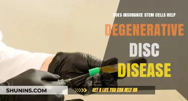 Can Stem Cell Insurance Treat Degenerative Disc Disease? Exploring Options