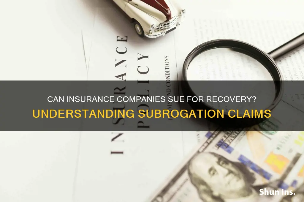 does insurance sue to recover