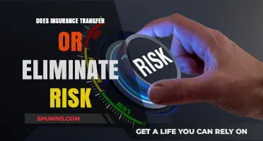 Insurance: Risk Transfer or Elimination?