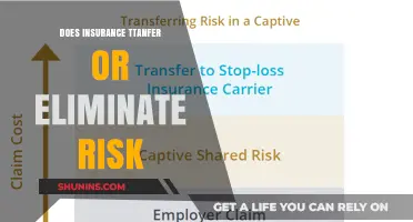 Insurance: Risk Transfer or Elimination?
