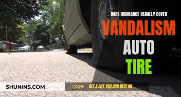 Vandalism Victim: Does Insurance Cover Auto Tire Vandalism?