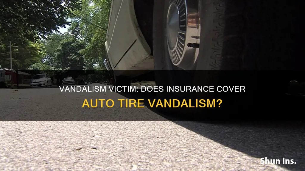 does insurance usually cover vandalism auto tire