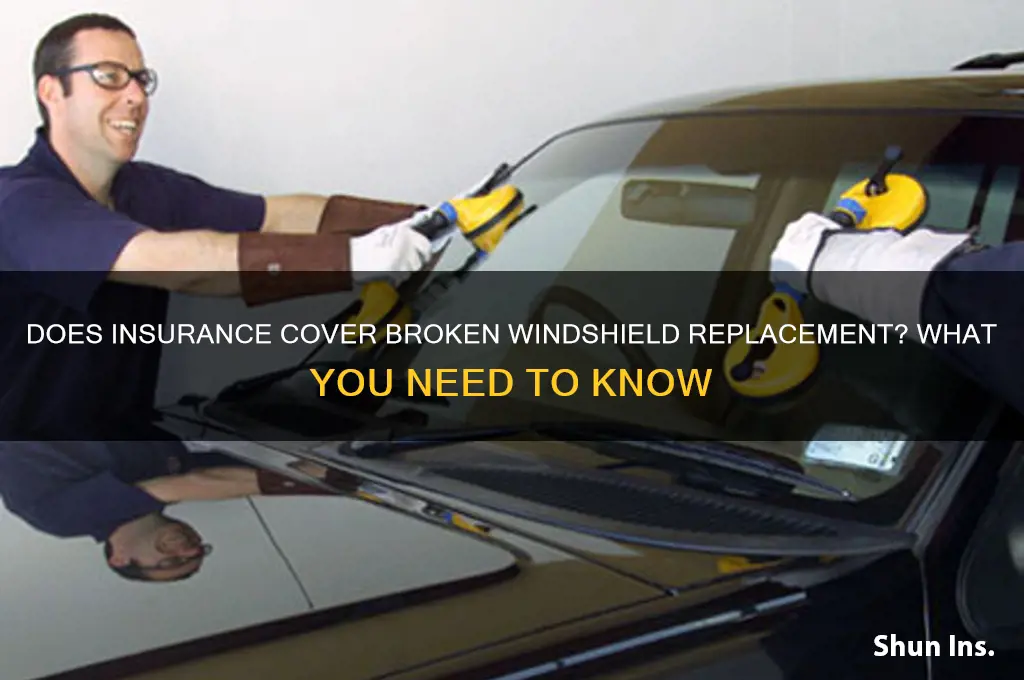 does insurance usually replace broken windshield