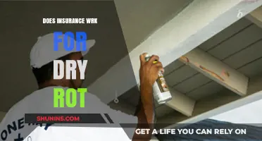 Does Homeowners Insurance Cover Dry Rot Repairs? What to Know