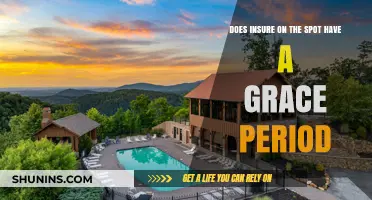 Does Insure on the Spot Offer a Grace Period? Explained