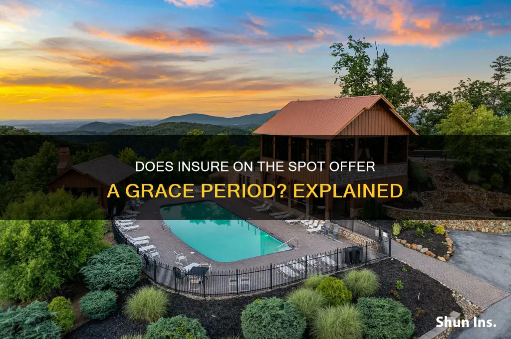 does insure on the spot have a grace period