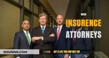 Do Insurance Attorneys Really Protect Your Rights and Interests?