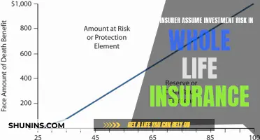 Insurers' Investment Risk: Whole Life Insurance Explained