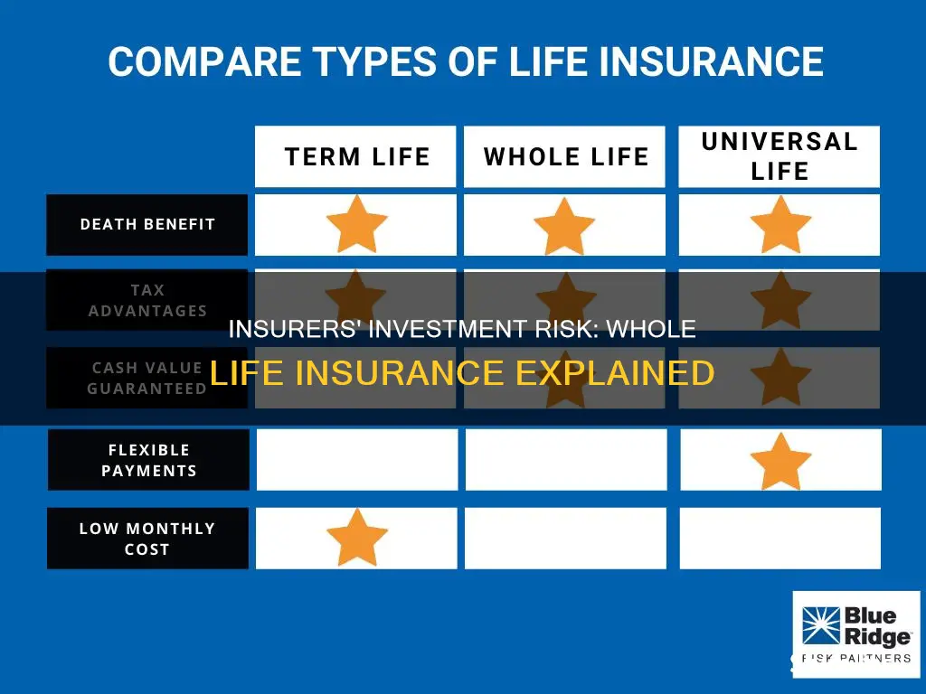 does insurer assume investment risk in whole life insurance