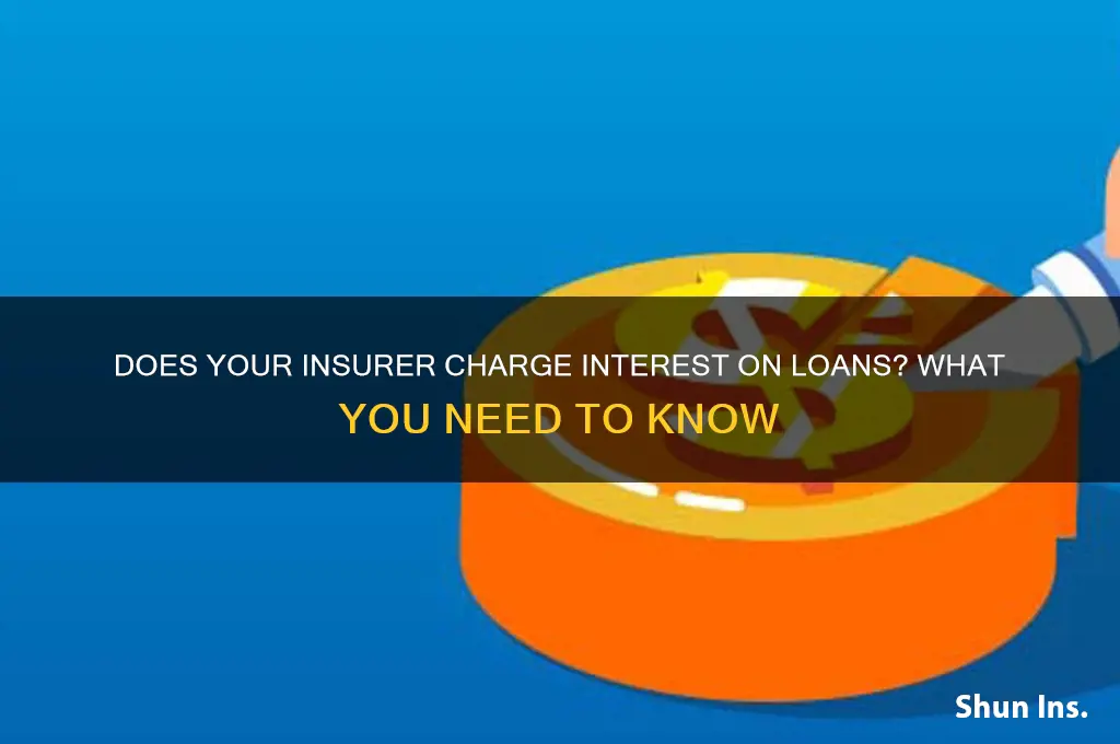 does insurer put interet on oan