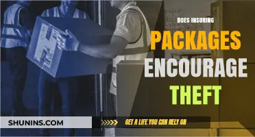 Insuring Packages: A Theft Magnet or Smart Protection?