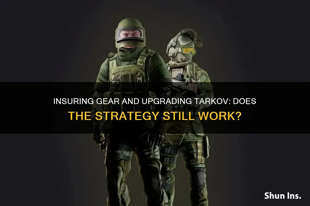 does insuring your gear and upgrading your tarkov still wokr