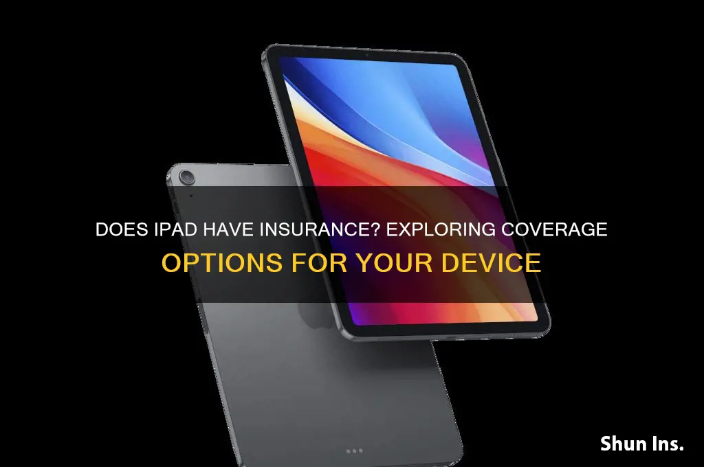 does ipad has insurance