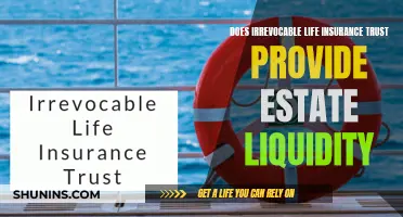 Irrevocable Life Insurance Trusts: Estate Liquidity and Protection