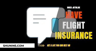 Does JetBlue Offer Flight Insurance? A Comprehensive Guide for Travelers