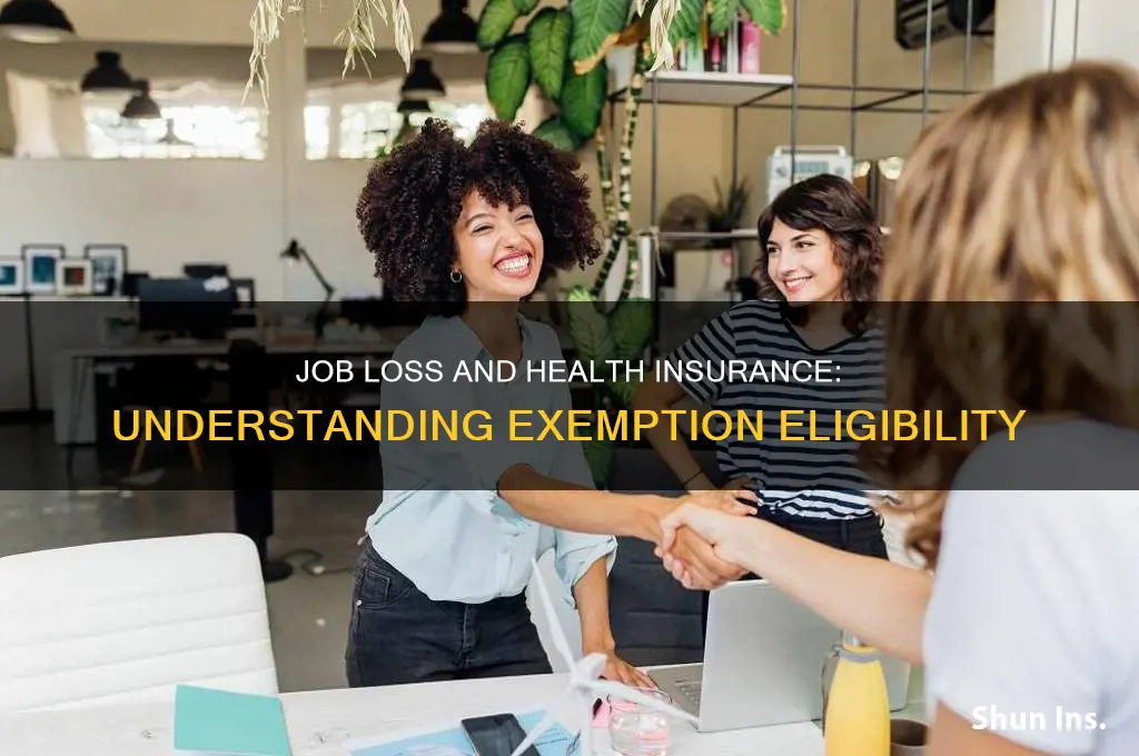 does job loss qualify for health insurance exemption