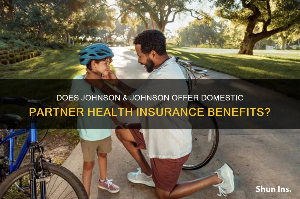 does johnson & johnson give domestic partner health insurance