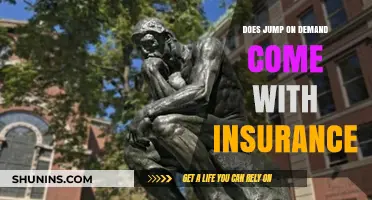Does Jump on Demand Include Insurance Coverage? A Comprehensive Guide