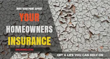 Lead Paint: Home Insurance and Health Hazards