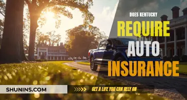 Kentucky Auto Insurance Requirements: What You Need to Know