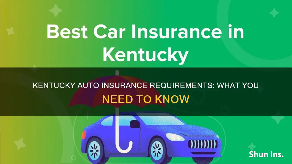 does kentucky require auto insurance