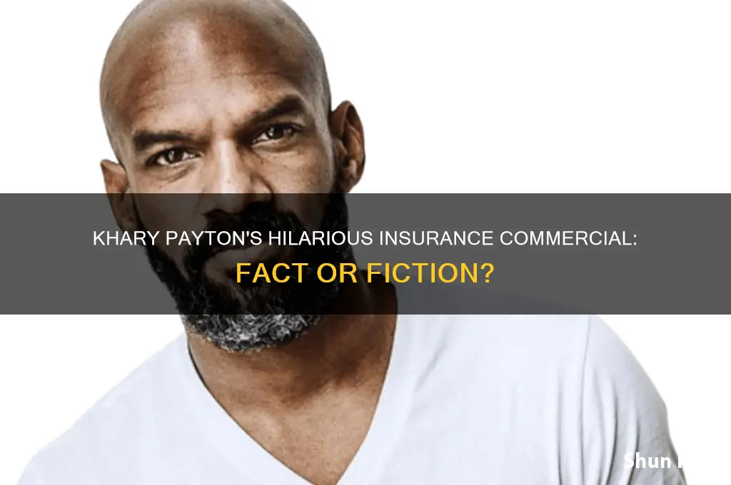 does khary payton do a insurance comical