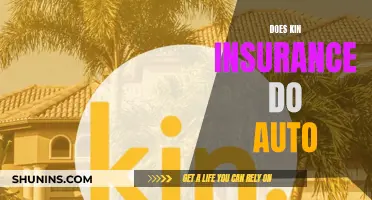 Kin Insurance: Auto Coverage Options and Benefits