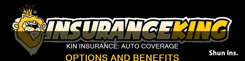 does kin insurance do auto