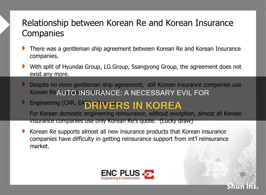 does korea require auto insurance to drive