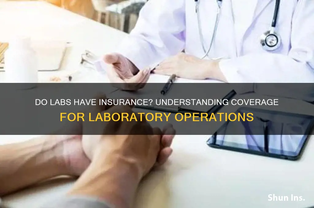 does labs have insurance