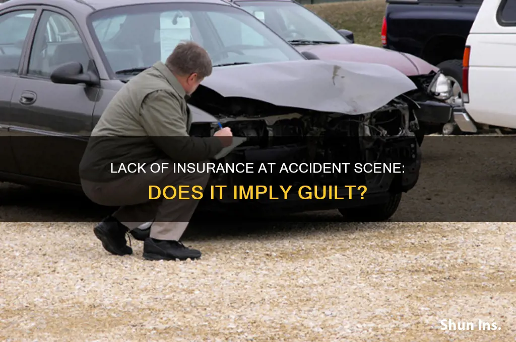 does lack of insurance at time of acident imply guilt