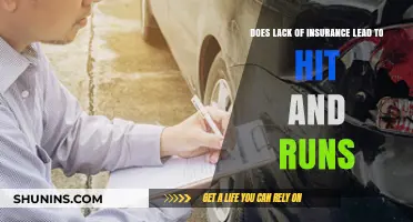 Lack of Insurance: A Hidden Driver Behind Hit-and-Run Incidents?