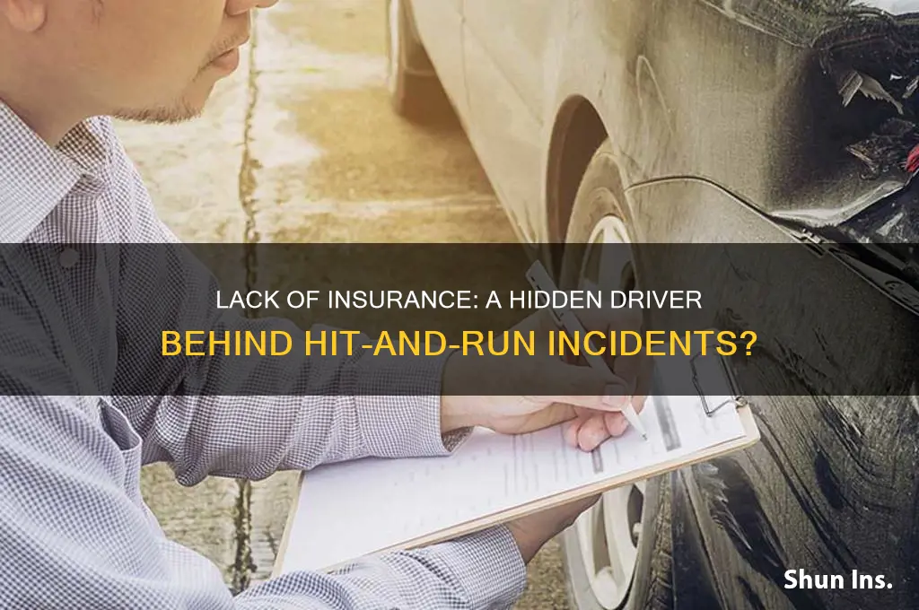 does lack of insurance lead to hit and runs