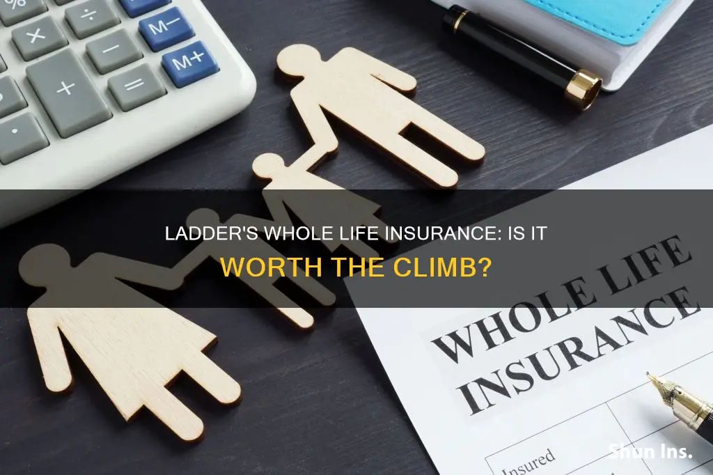 does ladder offer whole life insurance