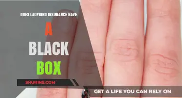 Does Ladybird Insurance Use Black Box Technology? Find Out Here